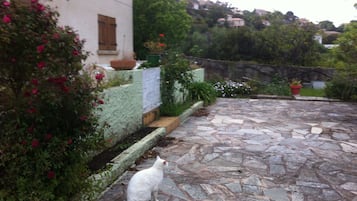 Àrea exterior de l'allotjament