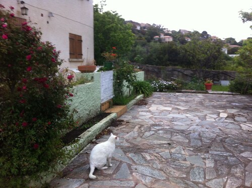 location d'un rez de villa