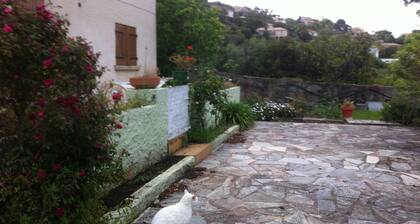 location d'un rez de villa