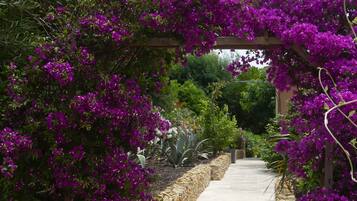 Terrein van de accommodatie