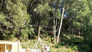A wooden structure with a ladder and a small shed in a wooded area. - Detached house (Large private garden) (Petreto-Bicchisano)