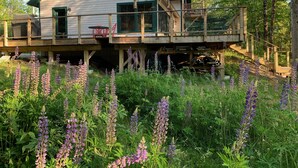 A wooden cabin with a deck, surrounded by wildflowers. - Lakefront cottage near Acadia and Bar Harbor (Sullivan)