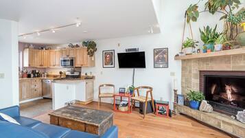 Een televisie, een open haard, een dvd-speler en een muziekbibliotheek