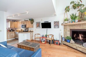 Télévision, cheminée, lecteur de DVD, médiathèque