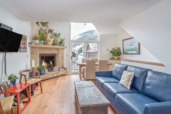 TV, fireplace, DVD player, music library