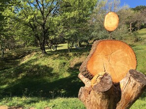 Parco della struttura