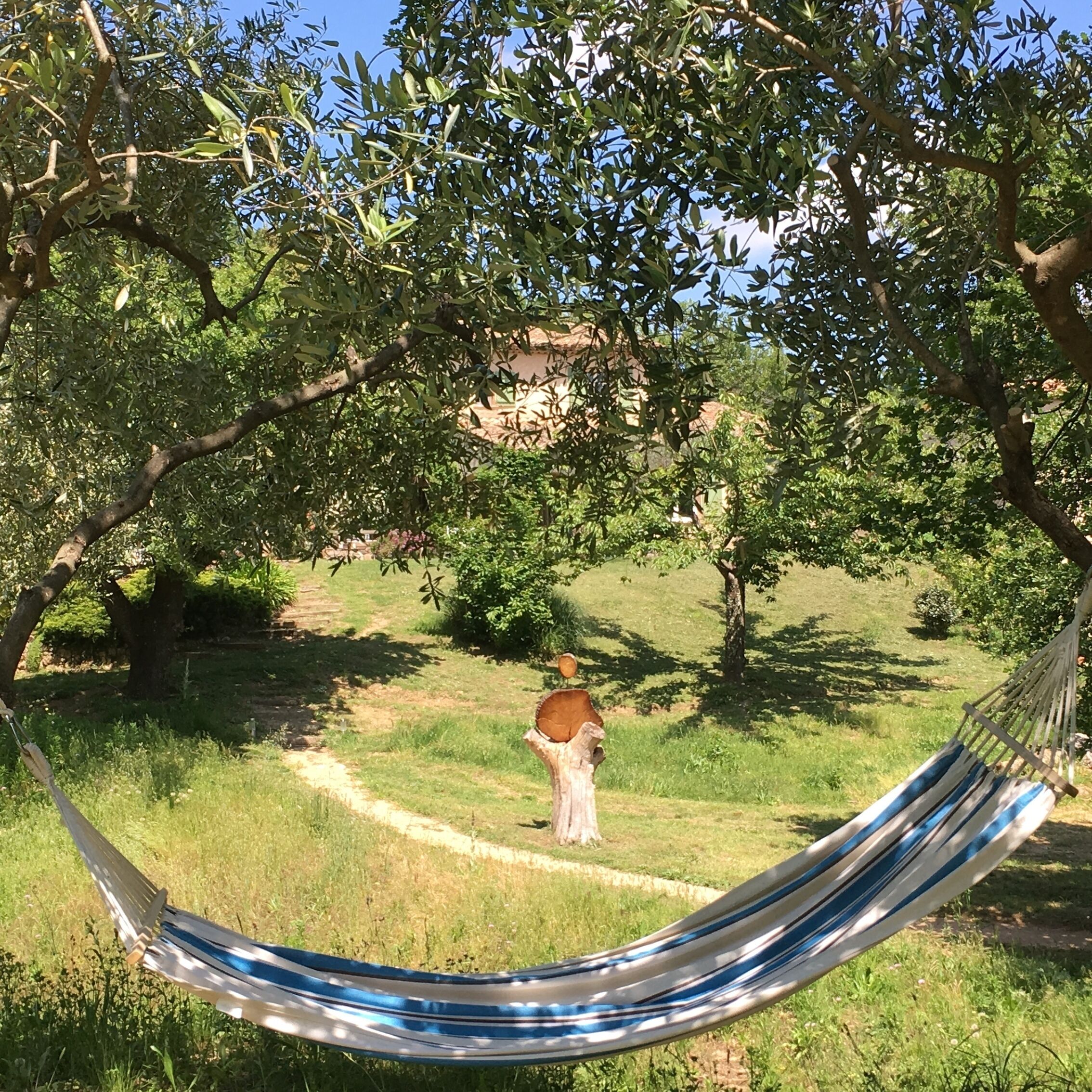 A hammock in a grassy area with trees and a path.