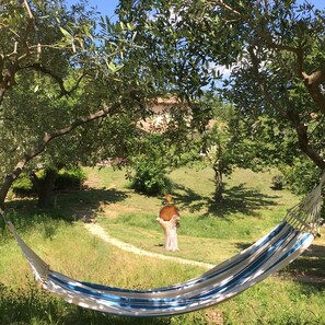 A hammock in a grassy area with trees and a path. - Lovely cottage, heated pool, large grounds (La Garde-Freinet)