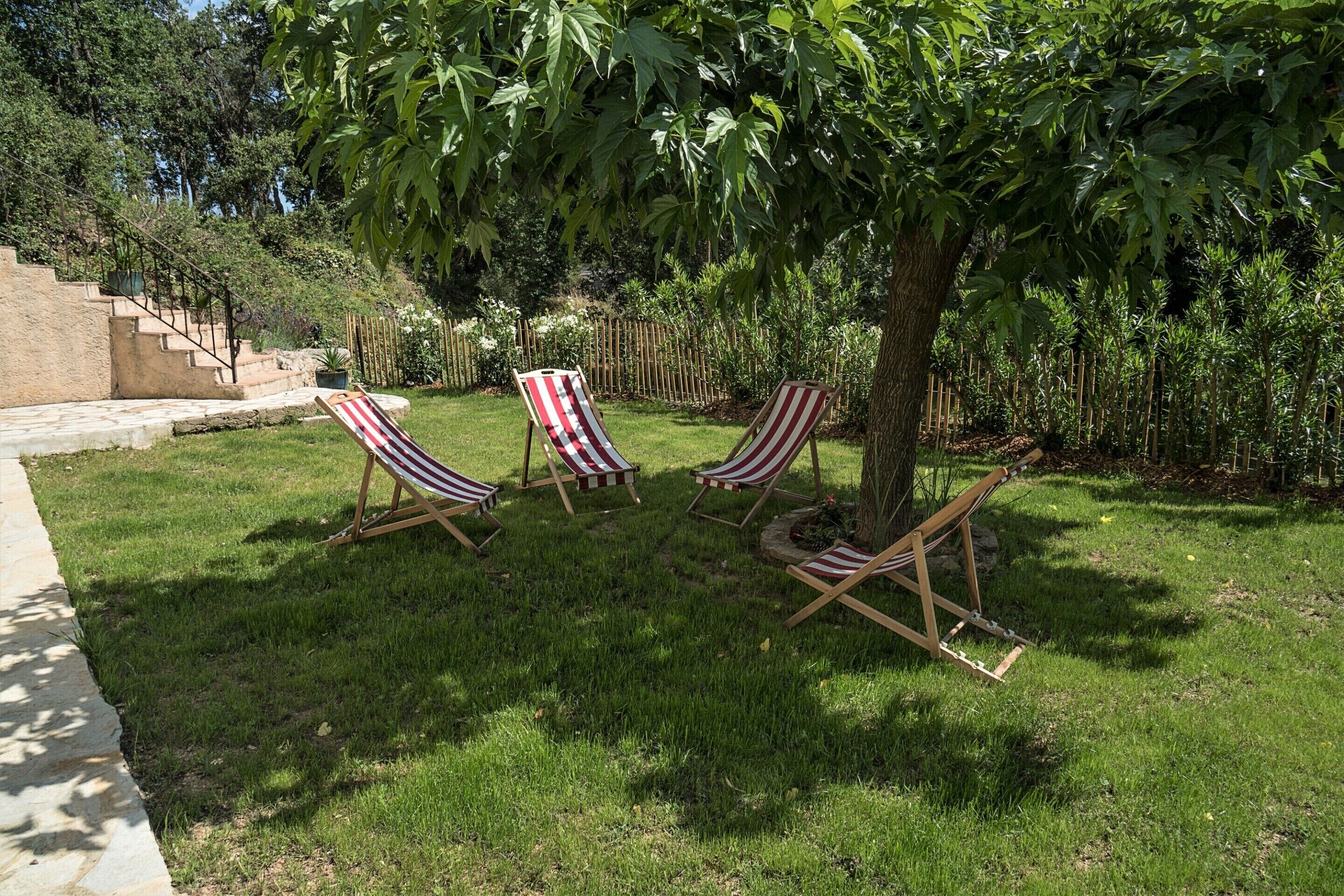 Un espace extérieur verdoyant avec trois chaises longues rayées placées sous un arbre.