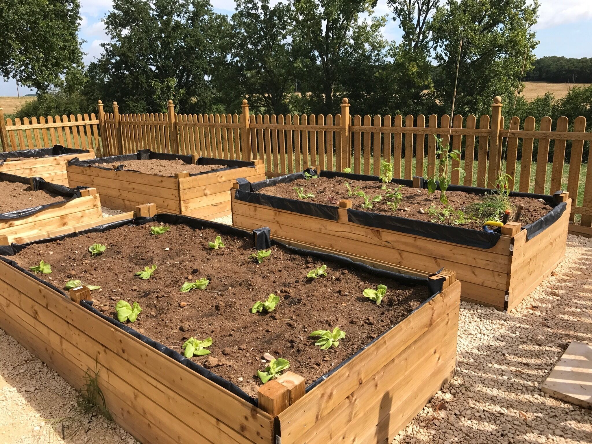 Your very own working vegetable garden with vegetables and herbs for your use