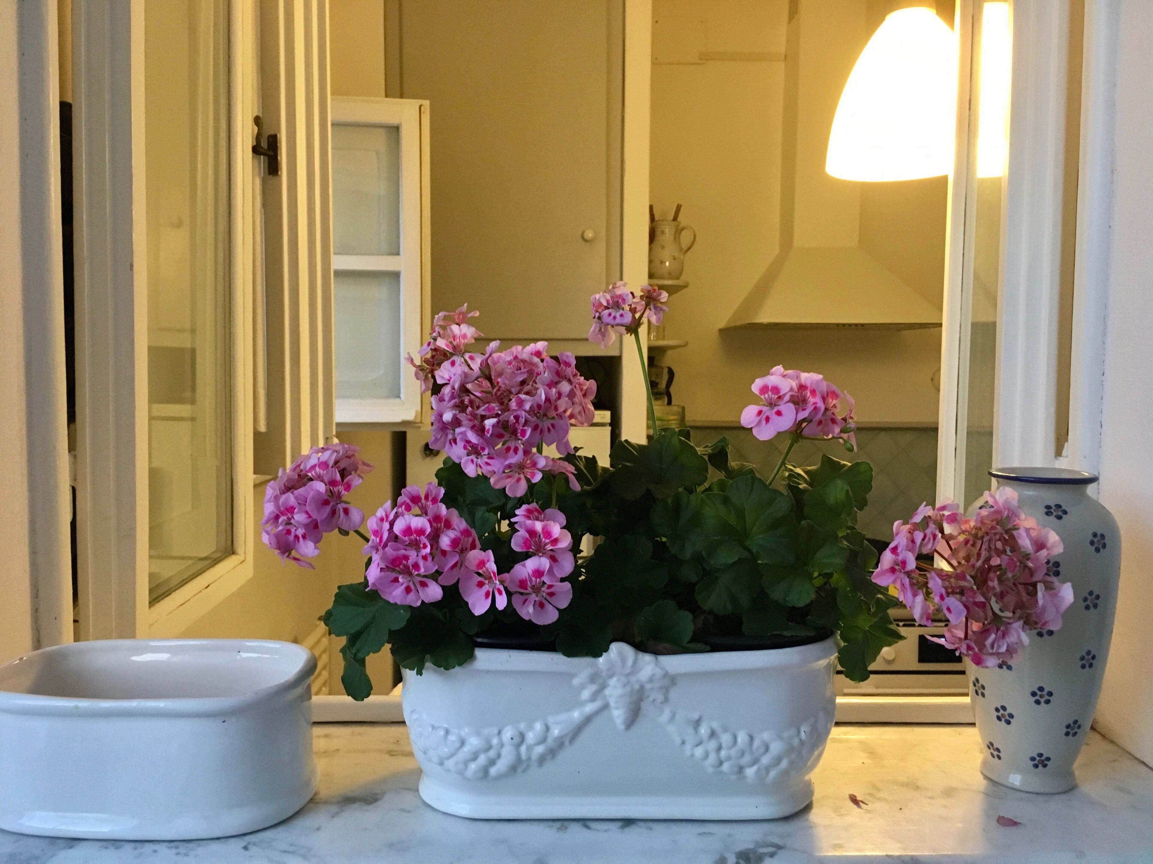 A white ceramic pot with pink flowers on a marble countertop.