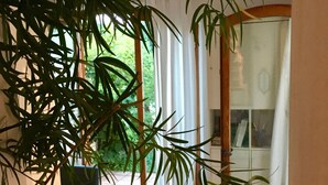 Een kamer met een tafel, stoelen en grote potplanten.