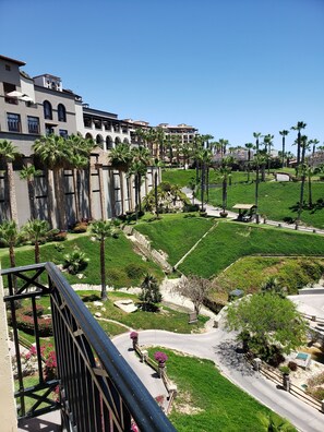 Property grounds - Paradise close to home! (Cabo San Lucas)