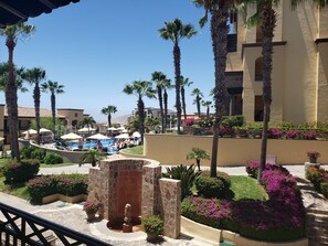 Property grounds - Paradise close to home! (Cabo San Lucas)