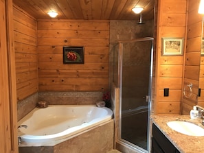 Combined shower/tub, jetted tub, hair dryer, towels