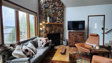 TV connectée, cheminée, lecteur de DVD, livres