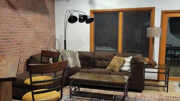 TV connectée, cheminée, lecteur de DVD, livres