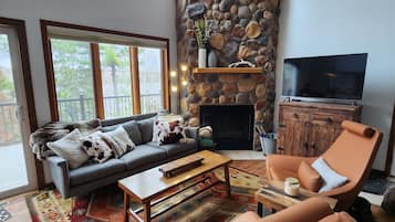 Smart TV, chimenea, reproductor de DVD y libros