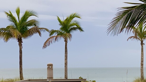 A wooden boardwalk leading to a beach with palm trees and a bench. - Come to your HAPPY PLACE! 2/2 ground floor waterfront community Condo! (Madeira Beach)