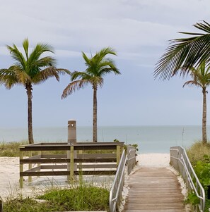 A wooden boardwalk leading to a beach with palm trees and a bench.