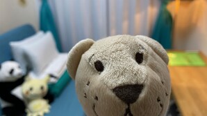 A plush toy bear on a blue couch with a white pillow and a small stuffed animal in the background. - Today's Relaxing and Fun Studio! Near Olympic Park! (Setagaya)