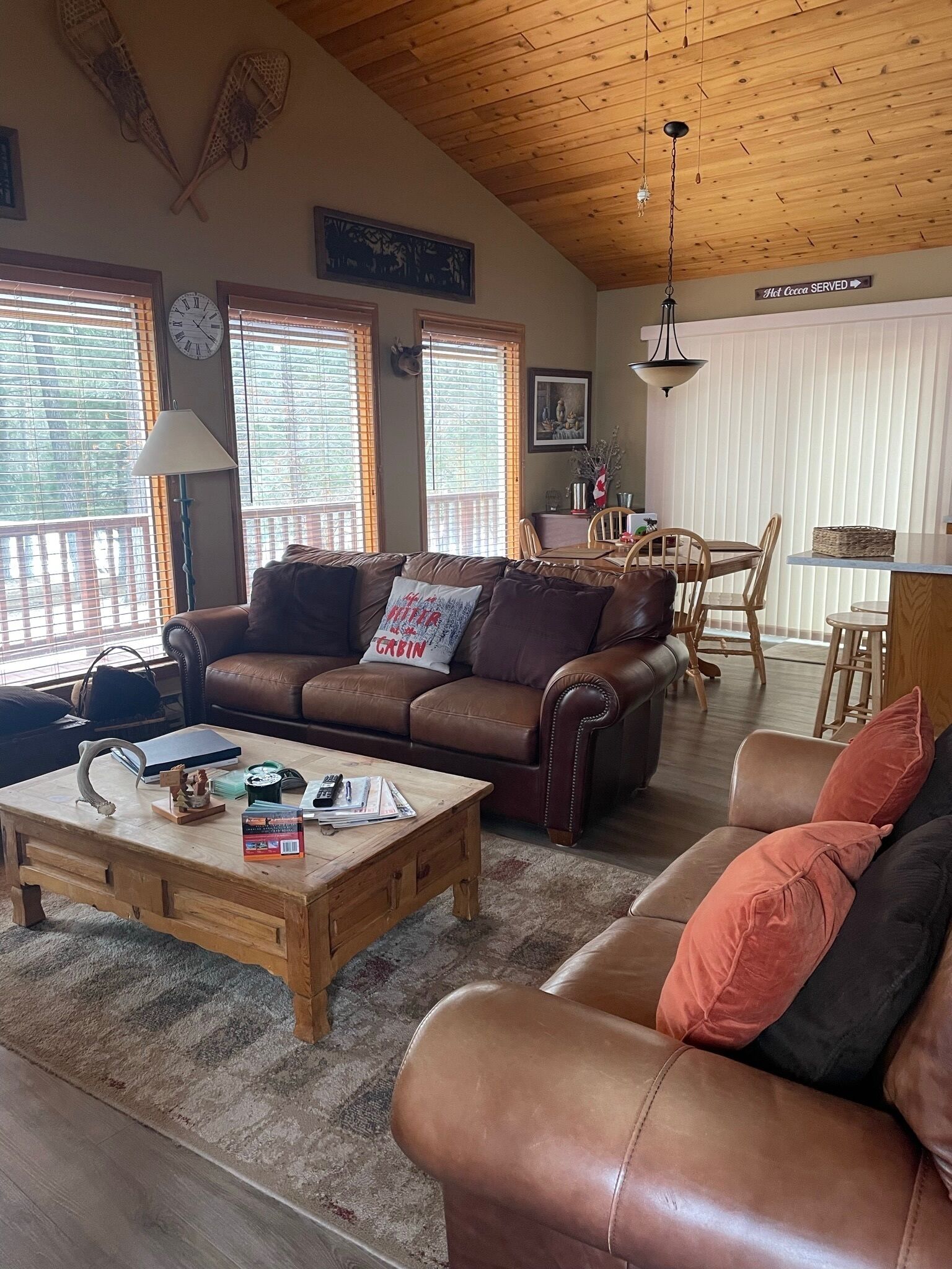 Smart TV, fireplace, video game console, DVD player