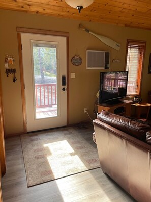 Smart TV, fireplace, video-game console, DVD player