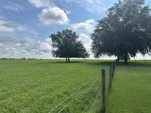 Golf - The Ferris Farmhouse (Floral City)