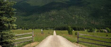 A rural road leading into a forested valley with a clear sky.