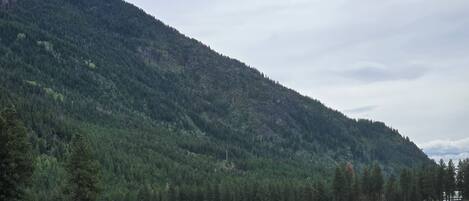 A mountainous landscape with a green field in the foreground and a forested hill in the background.