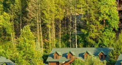 VIEWS! CHRISTMAS! 2 BD-2 BA_WATER PARK! MOUNTAIN TOP!