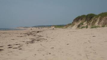 Sun loungers, beach towels