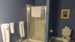 Ein Badezimmer mit Duschkabine, Toilette und Waschbecken.