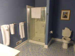 Combined shower/tub, hair dryer, towels, soap - Downtown Traverse City Condo, close to shops, food, recreation, beaches. (Traverse City)
