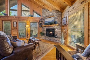 TV, fireplace, DVD player