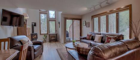 Flat-screen TV, fireplace