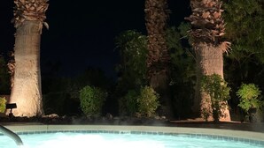 Ein Poolbereich bei Nacht mit hohen Palmen und klarem Wasser.
