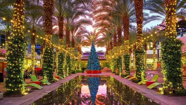 Une place agrémentée de palmiers, d’un grand sapin de Noël au centre et d’un bassin d’eau aux reflets changeants.