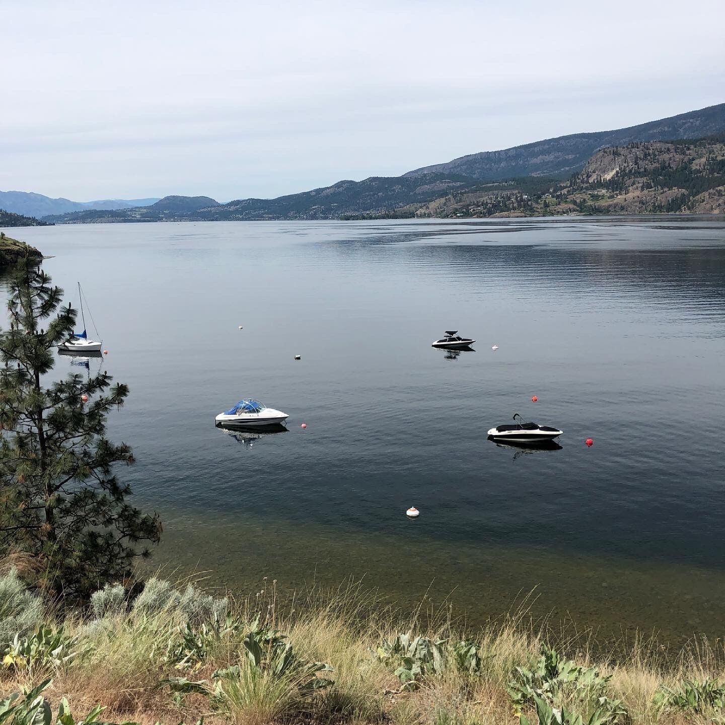 A calm lake with several boats anchored.