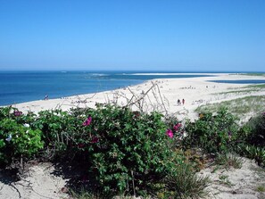 Une plage avec un ciel dégagé, des rivages sablonneux et une végétation clairsemée.
