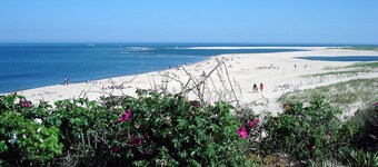 Old Cape Cod Charm in Chatham MA, 1/4 mile Walking Distance to Hardings Beach