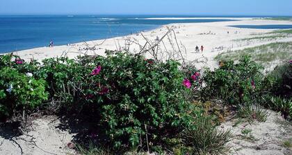 Old Cape Cod Charm in Chatham MA, 1/4 mile Walking Distance to Hardings Beach
