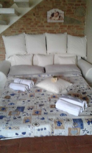 Smart TV, caminetto, libri, videoteca
