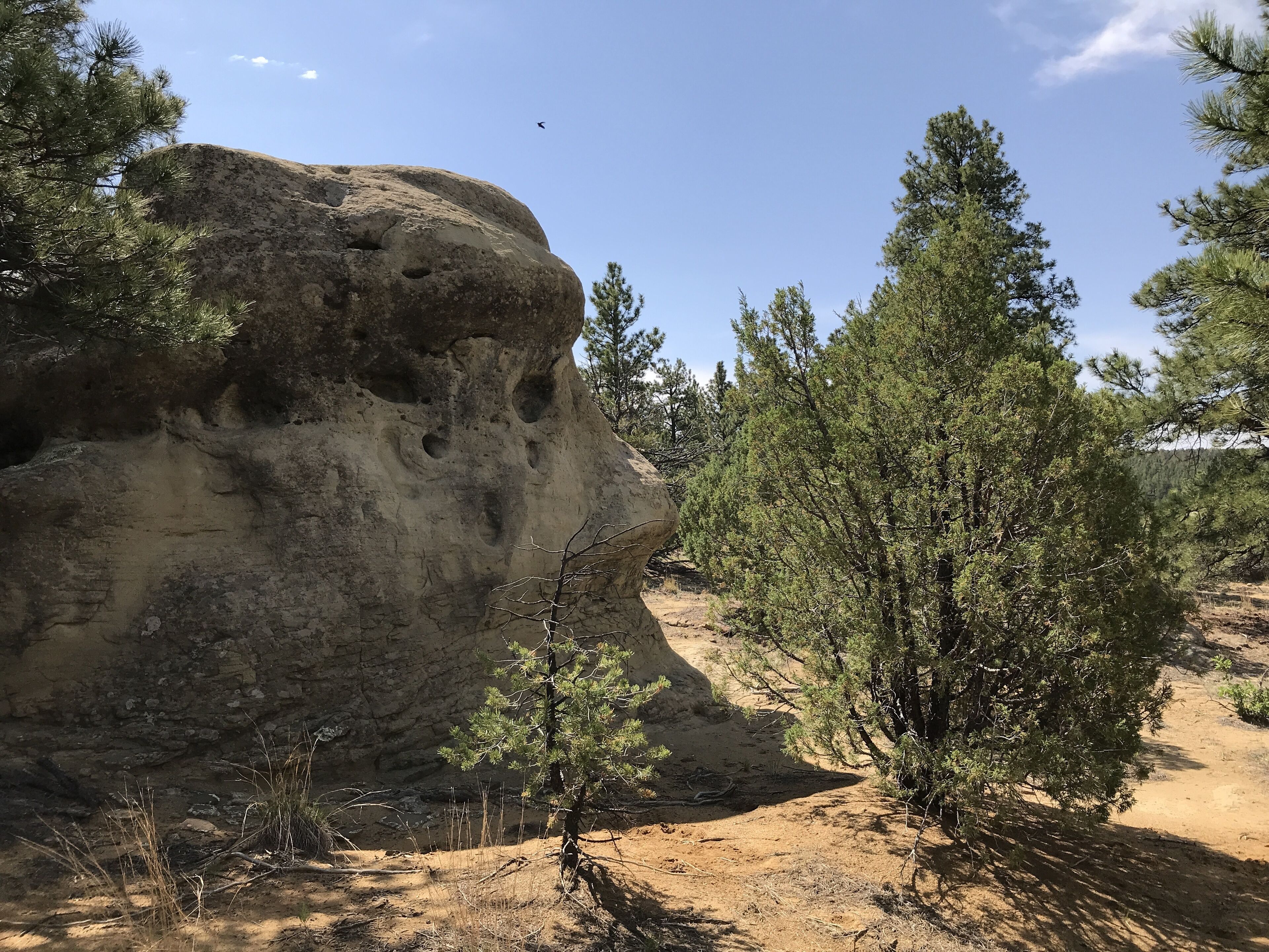 A natural landscape with a large rock formation, sparse vegetation, and a clear sky.