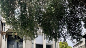 A Victorian-style house with a gated entrance, number 3238, and a well-maintained garden.