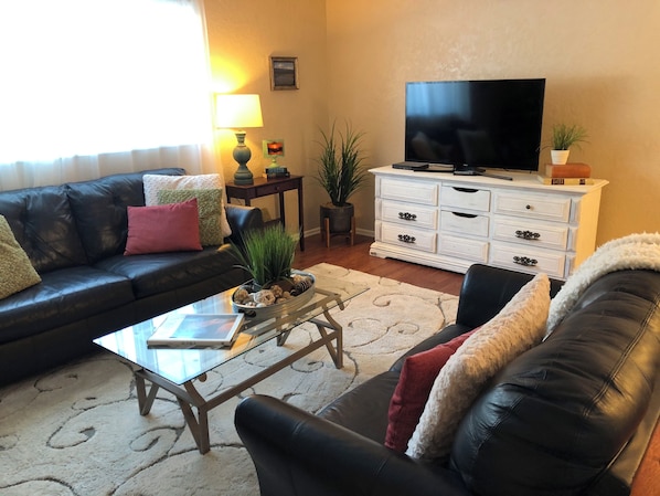 TV, fireplace, DVD player, books