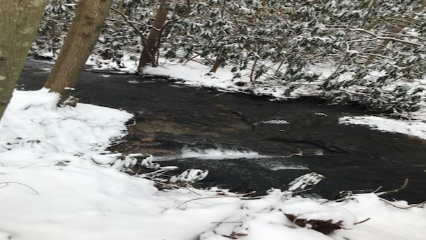 A snow-covered stream with trees on either side.