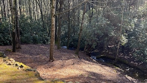 A forested area with a stream, rocks, and a wooden deck.