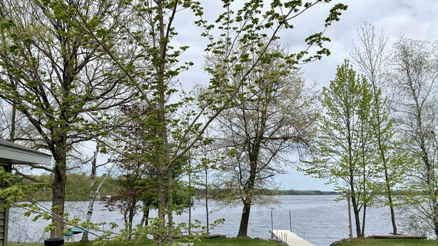 A lakeside property with a grassy lawn, a fire pit, a picnic table, and a dock extending into the water. - Cozy family & pet friendly lake home, great reviews & rates (Holcombe)