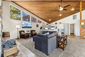 Smart TV, fireplace, books